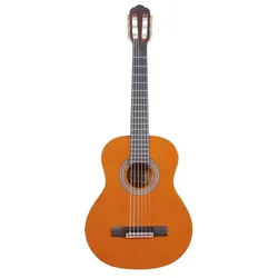 Gitarre Arrow L2050027