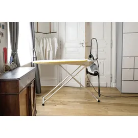 Kärcher SI 4 EasyFix Iron
