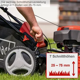 SCHEPPACH MS225-56 6 PS