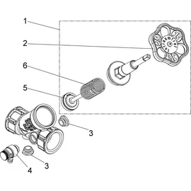 Schlösser Armaturen Schrägsitzventil 1'' IG Rückflussverhinderer