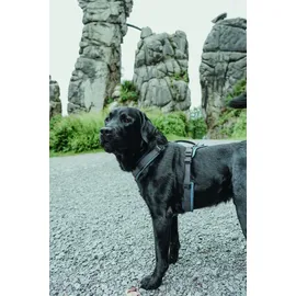 Hunter Maldon Up Hundegeschirr Petrol/Grau S-M