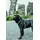 Hunter Maldon Up Hundegeschirr Petrol/Grau S-M
