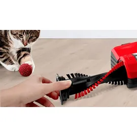 Bosch BLH86PET1 Athlet ProAnimal rot