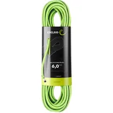 Edelrid Rap Line Protect Pro Dry 6mm (Größe 60M, gruen)