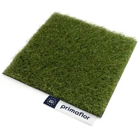 Primaflor Kunstrasen RIO 100 x 50 cm Grün