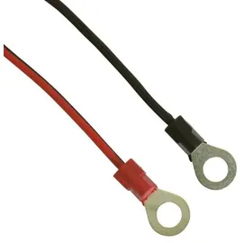 Absaar Batterieladegerät Pro 6,0 Rot