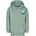 Huppis Green 122