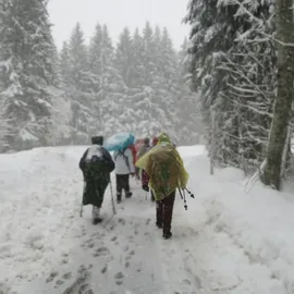 Relaxdays Regenponcho 10er Set, Einmal Regencape mit Kapuze, für Erwachsene, Notfallponcho Damen & Herren, gelb