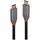 Lindy USB-C 1 m Schwarz/Grau