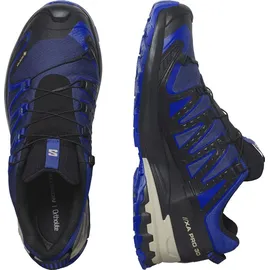 Salomon XA Pro 3D V9 GTX Herren Blue Print/Surf The Web/Lapis Blue 42