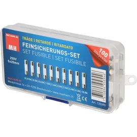 Max Hauri AG 135395 Feinsicherung-Sortiment (Ø x L) 5mm x 20mm Träge -T- Inhalt 100St.