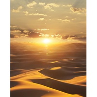 Marburg Vliestapete Dune DD«, Wüste, Sonnenaufgang, orange/braun