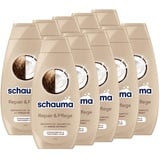 Schauma Schwarzkopf Reparatur-Shampoo Repair & Pflege (10x 400 ml), Haarshampoo glättet & repariert die Haarstruktur, Repair Shampoo für strapaziertes & trockenes Haar, mit Kokos-Extrakt