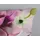 Muller Textil Chimai Blume Bordeaux 135 x 200 cm + 2 x 80 x 80 cm