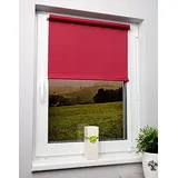 Rollo, Kettenzugrollo, Farbe rot, Sichtschutz, blickdicht, nach Maß gefertigt oder in Standardgroeßen