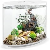 biOrb Loop 30 Komplettaquarium Zubehör weiß