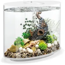 biOrb Loop 30 Komplettaquarium Zubehör weiß