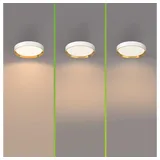 Philips 8720169301375 Hanno LED-Deckenleuchte LED 24 W Weiß, Gold