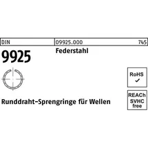 Hörger & Geßler DIN 9925 Sprengring Federstahl-Draht 38