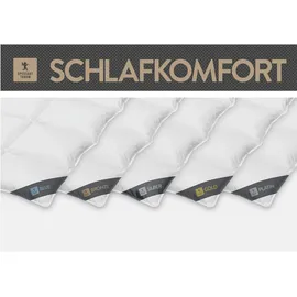 SPESSARTTRAUM Daunendecke Platin extra leicht Sommerdecke (Größe: 200x200 cm