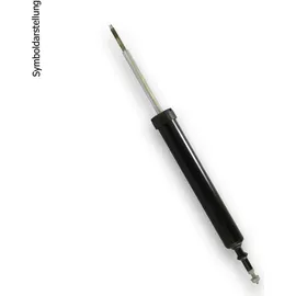 Bilstein 25-336078 Stoßdämpfer für Fiat Ducato 06/11- (1 Stk)