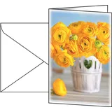 Sigel Grußkarten Ranunculus DIN A6, 10 St.