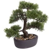 Botanic-Haus Kunstbonsai »Ceder Bonsai Grün 32 cm 420001