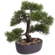 Botanic-Haus Kunstbonsai »Ceder Bonsai Grün 32 cm 420001