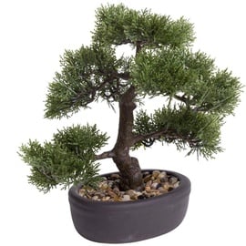 Botanic-Haus Kunstbonsai »Ceder Bonsai Grün 32 cm 420001