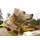 Ruffwear Hi & Light Hundehalsband Lichen Green 23-28 cm