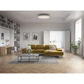 Musterring Wohnlandschaft MUSTERRING "MR 2490 Ecksofa mit erstklassigem Sitzkomfort, Long-Life-Leder", gelb (kurkuma, s), B:342cm T:207cm, Sofas, Wohnlandschaft, Fuß Schwarz, Sitzhöhe 46cm, wahlweise mit Funktionen, Maße 342x207 cm