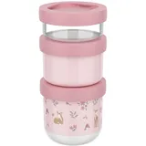 Mepal Snackbox 3-teilig Mio Little Dutch - Stapeln nach Bedarf - Mikrowellen- und Gefrierfachgeeignet - Auslaufsicher - Spülmaschinengeeignet - 100 + 175 + 275 ml - Fairy Garden