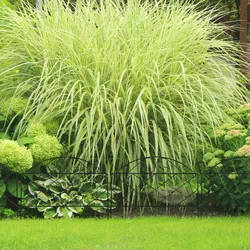 Relaxdays Beetzaun, HxB je 40x54,5 cm, 6 Zaunelemente, Garten Beeteinfassung zum Stecken, Metall, Vintage-Look, schwarz
