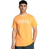 Puma Unisex Squad Big Graphic Tee T-Shirt, Clementine, M EU
