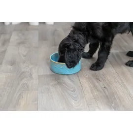 Trixie Keramiknapf, 400ml - Ø 13 cm, blau