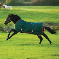 Horseware Rambo Original Turnout Lite Regendecke 0g 140 cm Grün/Rot