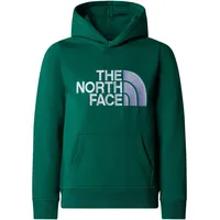 The North Face Sweatshirt/Hoodie