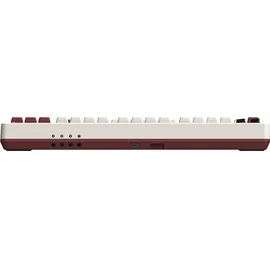 8bitdo Retro Mechanical Keyboard Fami Edition MX Brown DE