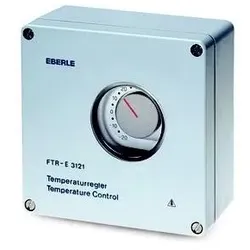 Eberle Controls Regler Dachrinnenbeheizung FTR-E-3121 191570159900