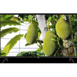 TCL 40V5C 40 Zoll QLED Full HD Android TV
