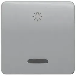 Siemens 5TG7926 DELTA profil Wippe mit Fenster und Symbol Licht, silber