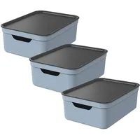 Rotho Jive 3er-Set Aufbewahrungsbox 10l mit Deckel