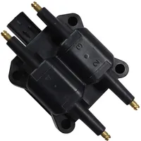 BorgWarner (Beru) Beru Zündspule