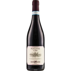 Ulisse NATIVAE Montepulciano d'Abruzzo 2019