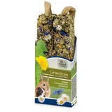 JR Farm Nagersnack Grainless Farmys Gänseblümchen-Kornblume 70 g 70 g