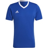 adidas Herren Ent22 JSY T-Shirt, Team Royal Blue, XXL