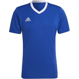 adidas Herren Ent22 JSY T-Shirt, Team Royal Blue, XXL