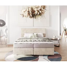 DeLife Dream-Well 160 x 200 cm H2 beige