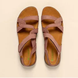 El Naturalista N5079 Wakataua Rot 42