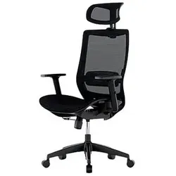FlexiSpot Bürostuhl BS4 Stoff schwarz, Gestell schwarz